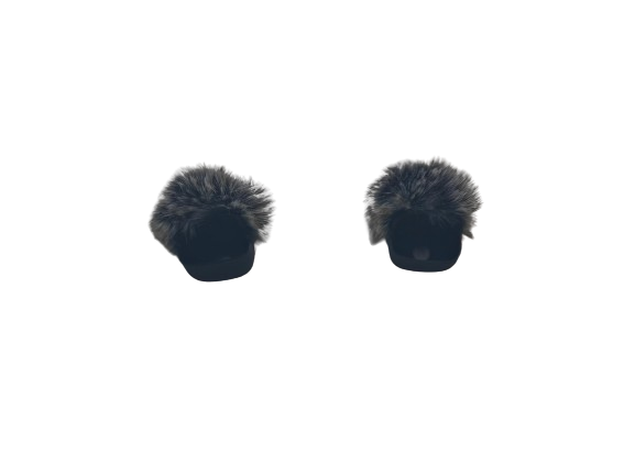 Microphone Windscreen